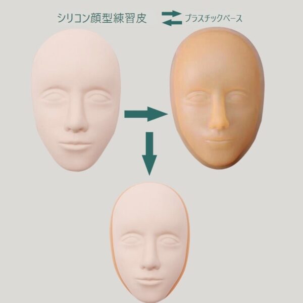 アートメイク練習用フェイスベース（N-Planning） - 画像 (2)